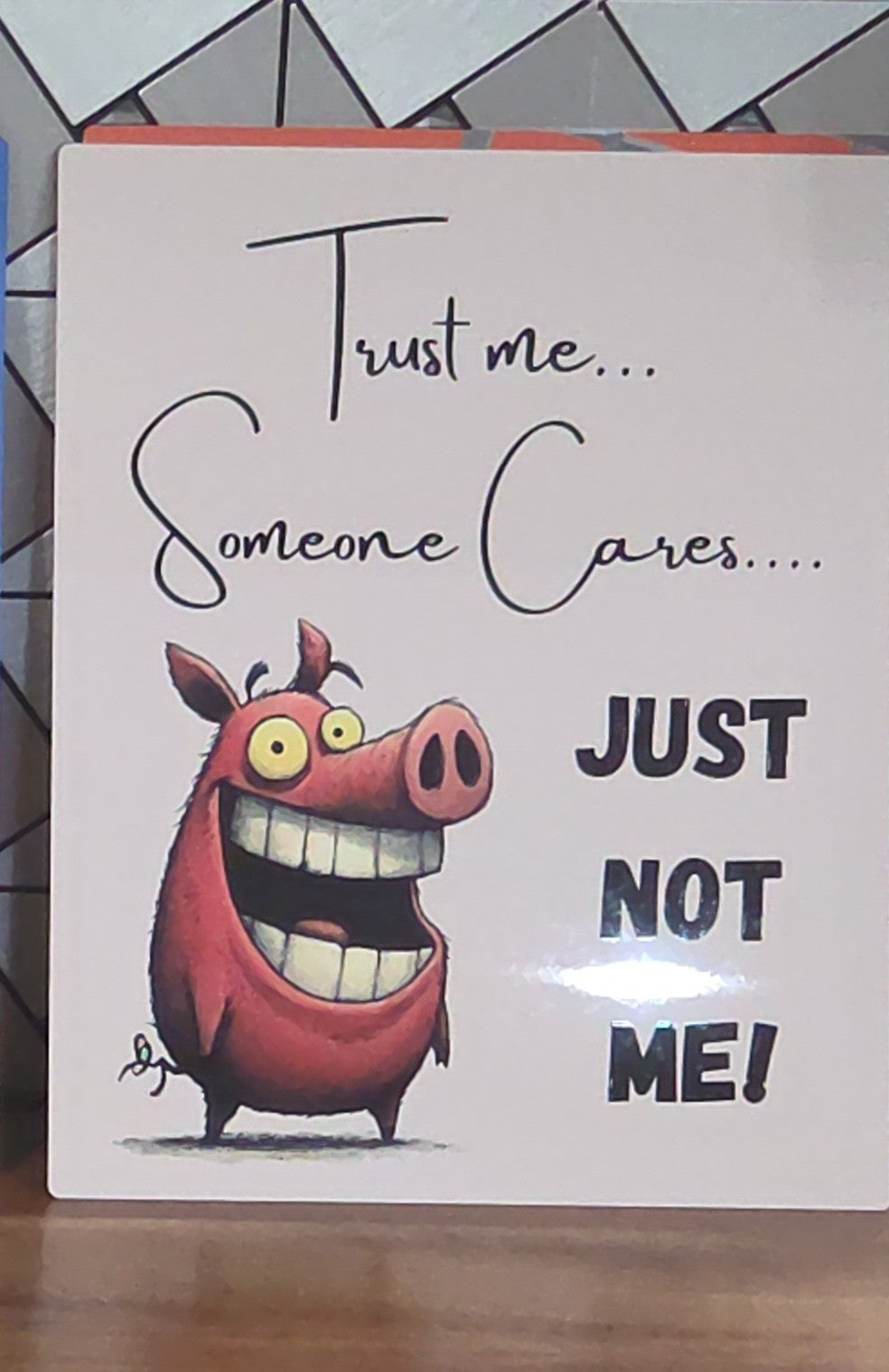Someone Cares...Just not me sign