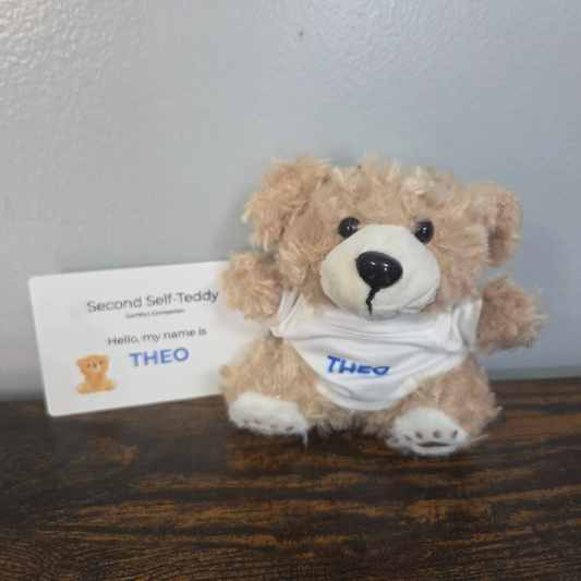 Theo-Personalized Comfort Companion Bear | Named Plush with Shirt | Worry Buddy Gift for Kids & Adults