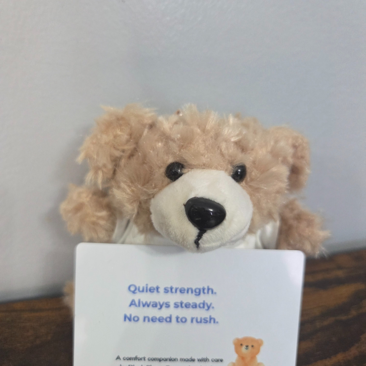 Theo-Personalized Comfort Companion Bear | Named Plush with Shirt | Worry Buddy Gift for Kids & Adults