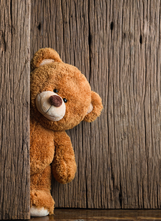 Peak-A-Boo Teddy-8" x 10" Custom Designed Aluminum Sign – by Black Sheep Personalized Gifts